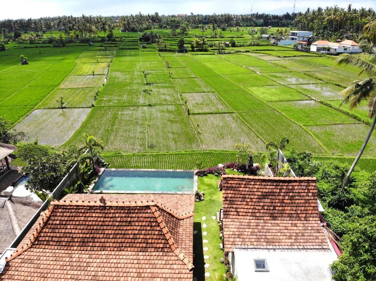 Villa O'Hea Ubud מראה חיצוני תמונה
