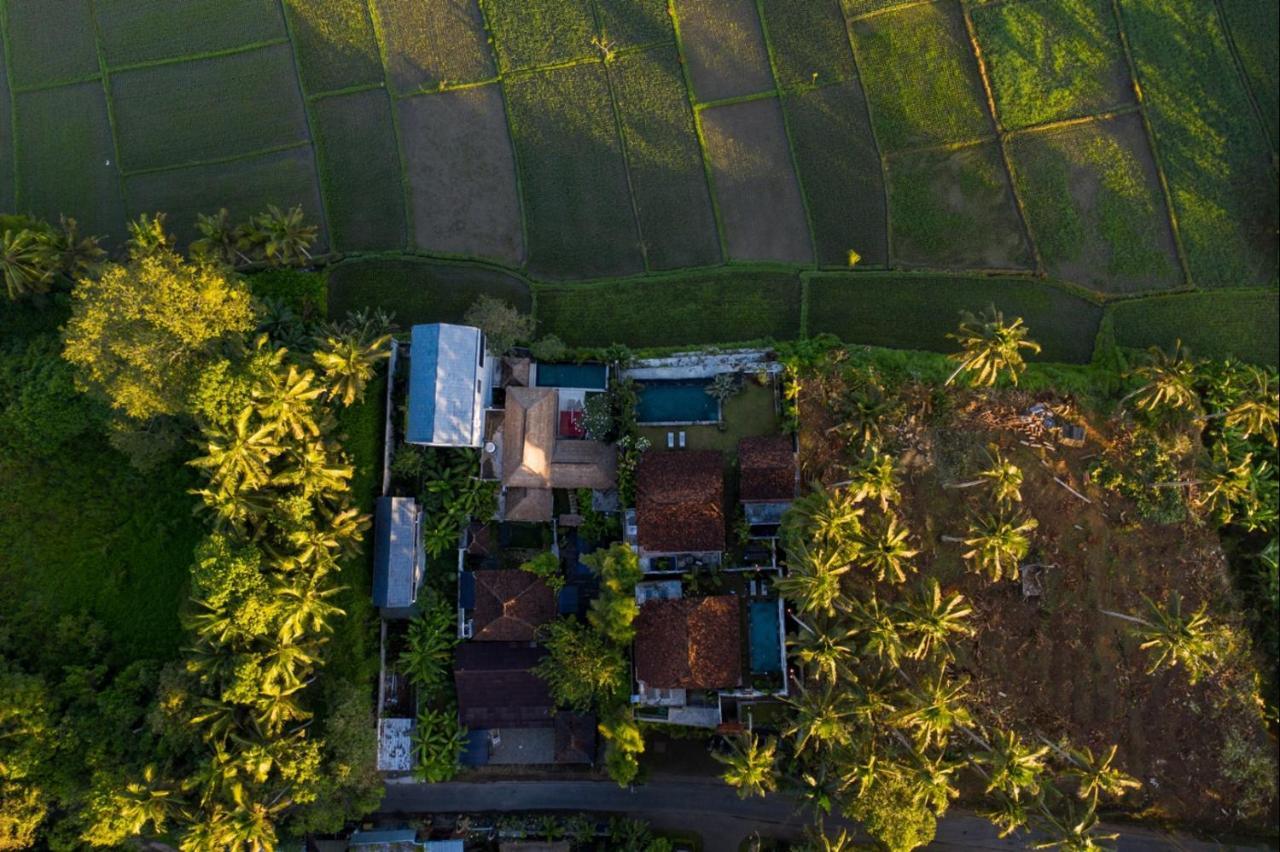Villa O'Hea Ubud מראה חיצוני תמונה